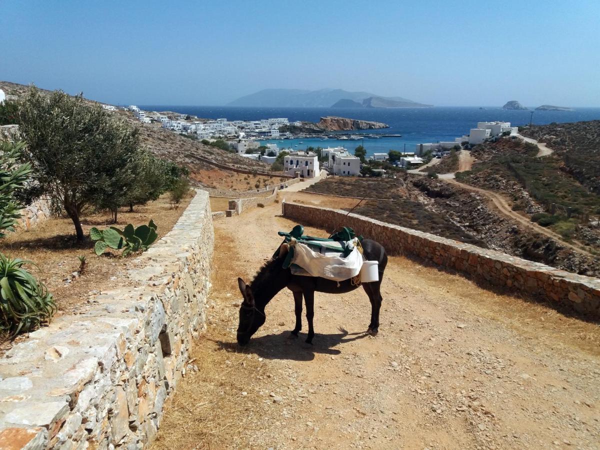 Villa Flisvos Karavostasis  Esterno foto